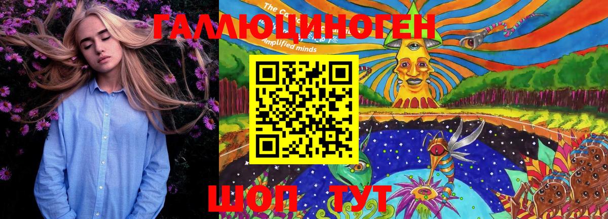 Галлюциногенные грибы Psilocybine cubensis  закладки  Вход с VPN  Фролово  Псилоцибиновые грибы мицелий 