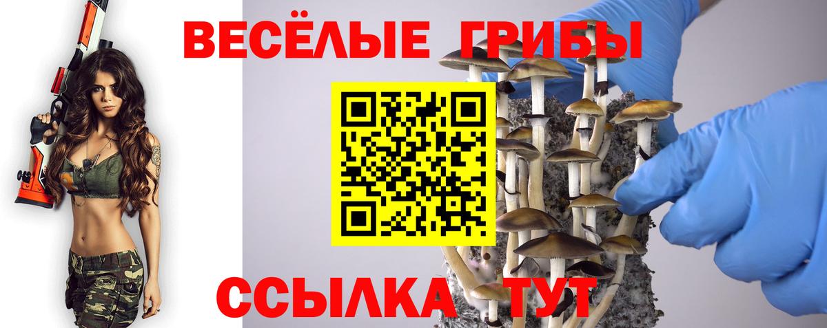 Псилоцибиновые грибы Cubensis Фролово