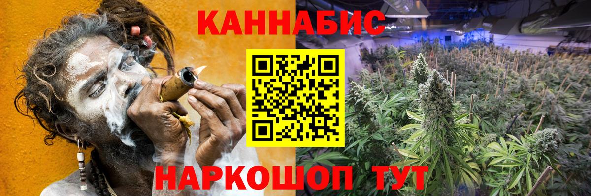 Шишки марихуана Bruce Banner  Канабис планчик  Вход с VPN  Марихуана LSD WEED  Каннабис тримм  Фролово 